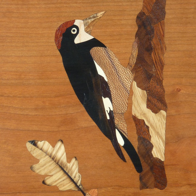 Tray/Picture with acorn woodpecker on oak tree