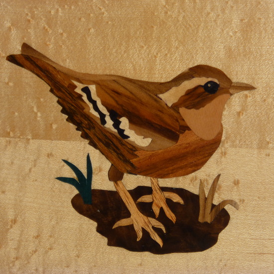 T113 curved tray with female wren on birdseye maple