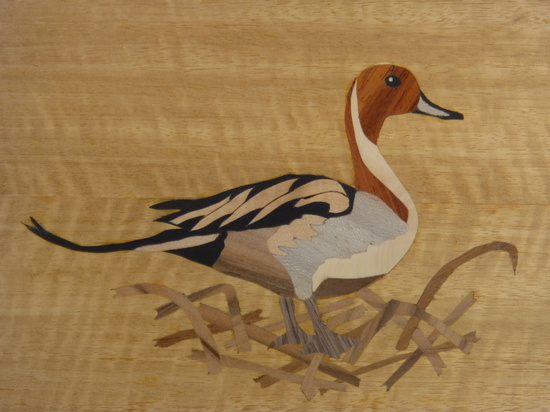 T115 - curved tray with pintail duck on satinwood